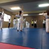 Aikido 2016 Kids