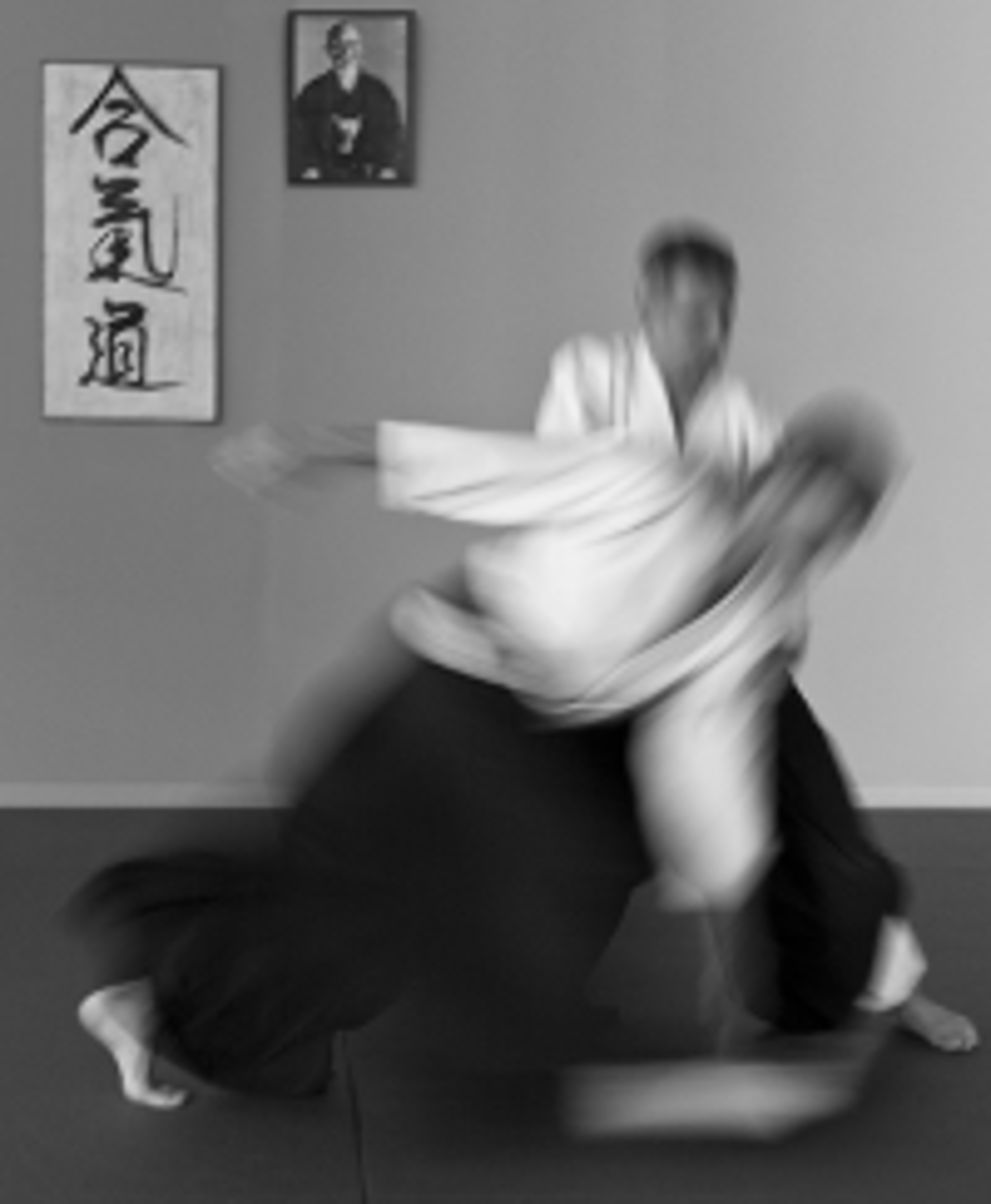 aikido1.jpg